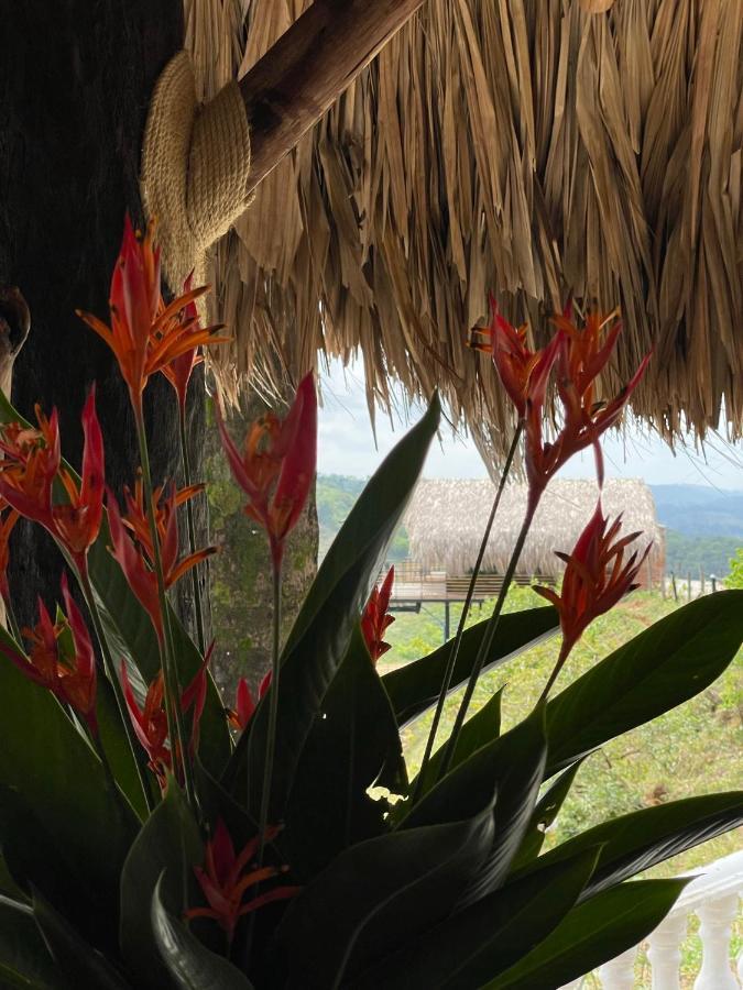 La Manola Finca Hotel Doradal Ngoại thất bức ảnh